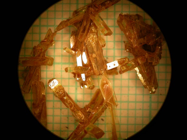 DyPO4+V