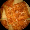 Gd.89Yb.1Er.01AlO3