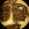 BaTiO3+Bi