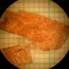 GdAlO3